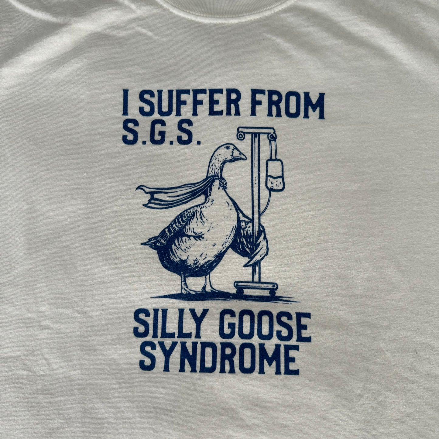 I Suffer From Silly Goose Syndrome